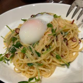 たらこと豆苗のペペロンチーノスパゲッティ(温玉のせ)(イタリアン酒場 エイト・ノース)