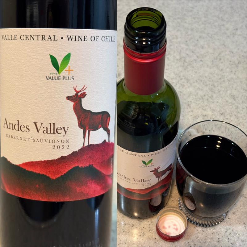 チリワイン・Andres Valley (375 ml)(相鉄ローゼン 南まきが原店)