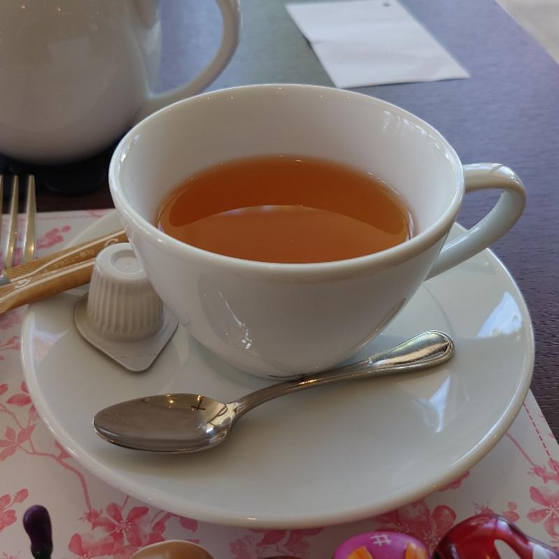 ダージリン(モーニング 菜根本店 )