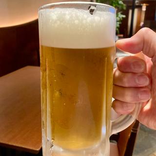 生ビール 中ジョッキ(ビヤレストラン ミュンヘン)