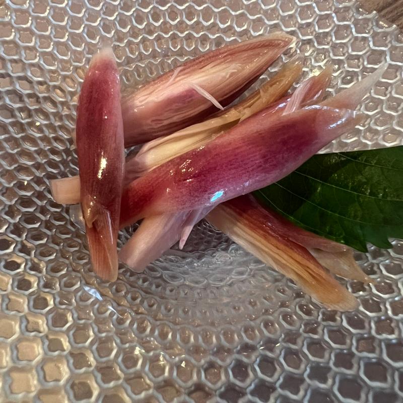 みょうがのピクルス(そば酒房ひぐらし )