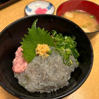 ねぎとろ生しらす丼