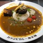 鬼金棒カラビシカレー