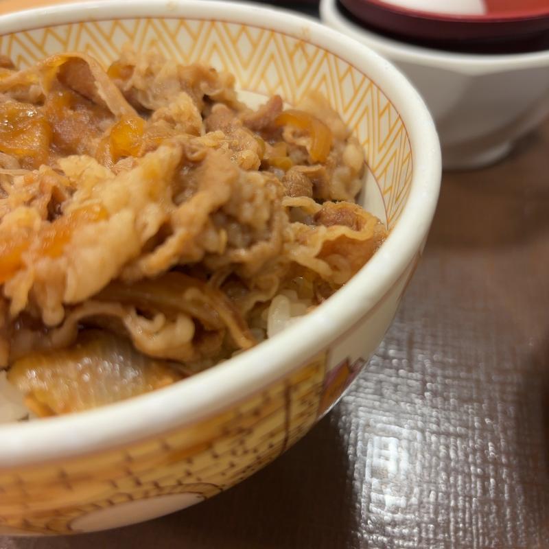 牛丼(すき家 太田カンケンプラザ店 )