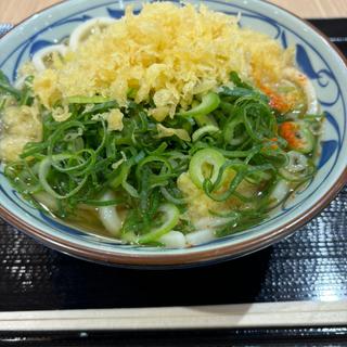 かけうどん大(丸亀製麺イオンモール岡崎)