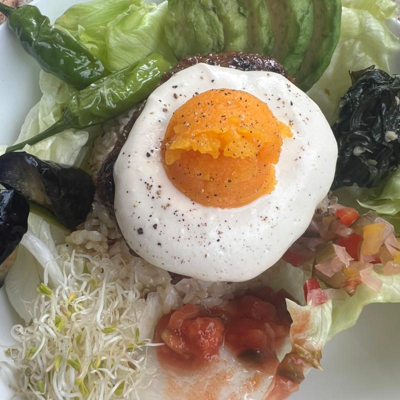 ヴィーガンロコモコ(Mr.FARMER 駒沢オリンピック公園)