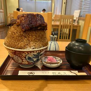 特上丼 大盛り(新玉亭)