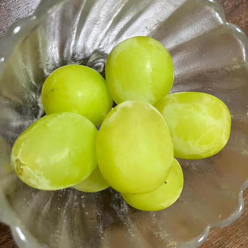 シャインマスカット(地域応援館(鮮魚市場)道の駅 愛彩ランド)