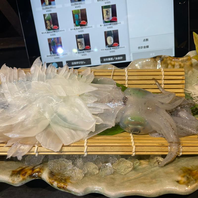 呼子いか活造り(食事処 蔵 （【旧店名】福太郎）)