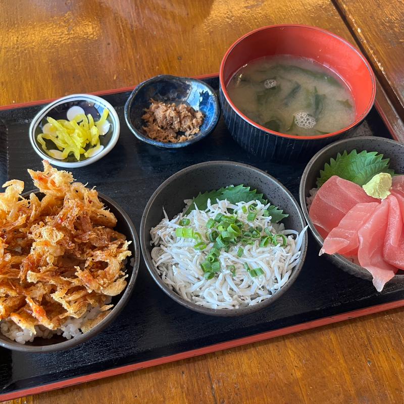 選べる3色丼(大間新栄丸 )