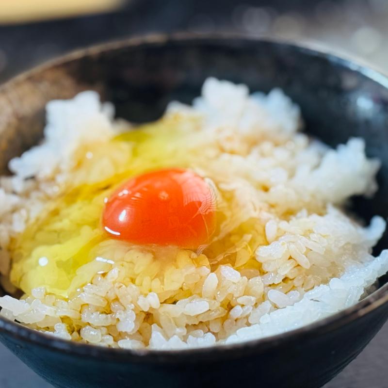 追い卵(コンナトノロニハンバーグ)