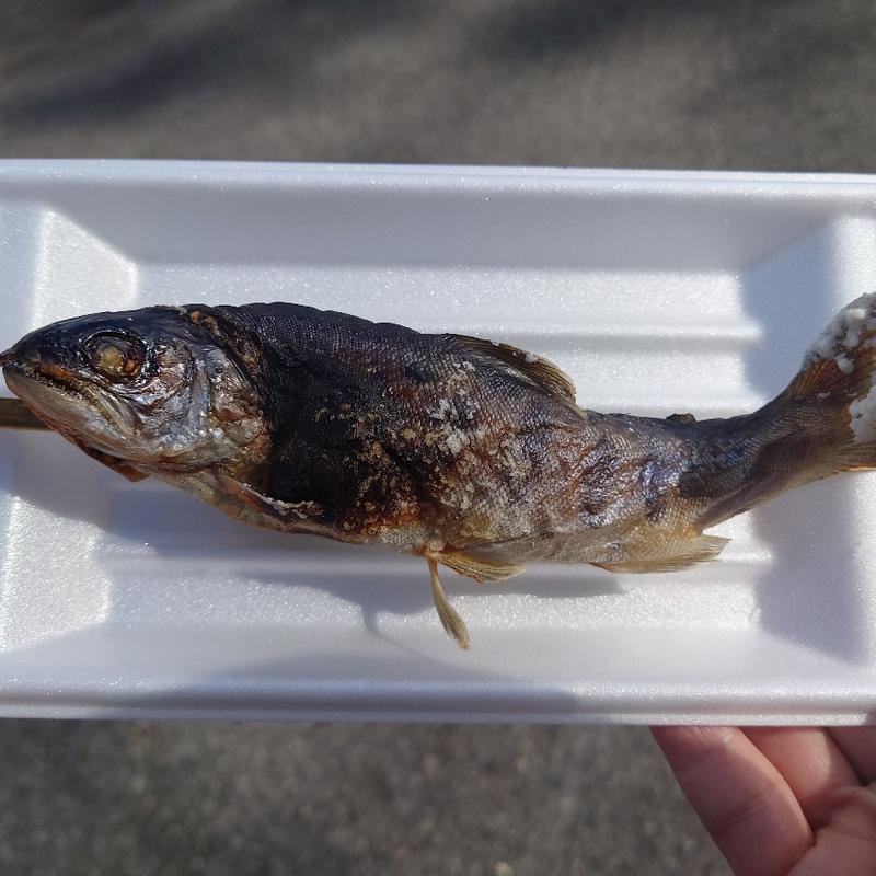 山女魚(華厳カフェ KEGON CAFE)