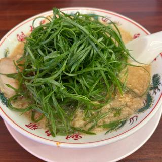 特製醤油九条ねぎラーメン(京都北白川ラーメン魁力屋 八潮店)