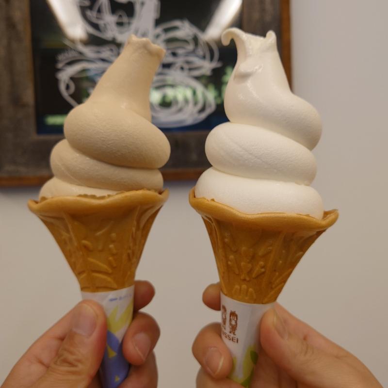 上島珈琲店の珈琲ソフトクリーム(上島珈琲店 日光東照宮店 )