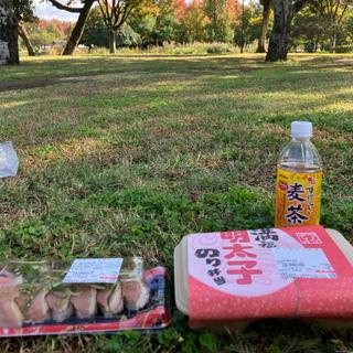 満福明太子のり弁当(ら・む〜マート 岡山富町店)