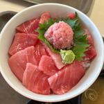 本鮪中トロ丼(大遠会館 まぐろレストラン )