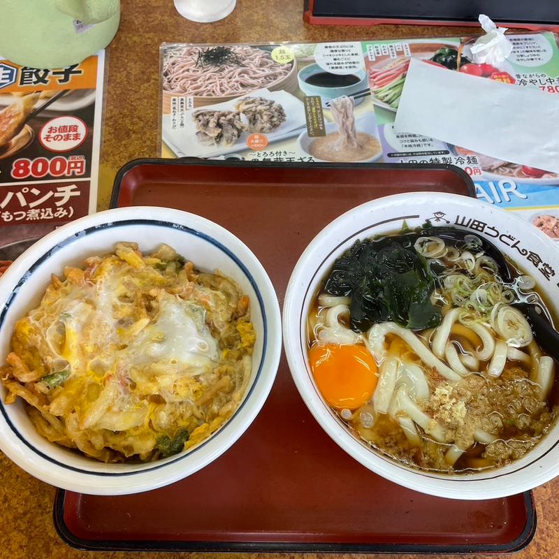 かき揚げ丼Aセット　生卵(山田うどん食堂 谷塚店)