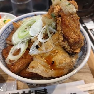 合盛り丼(元祖豚丼屋TONTON 水道橋店)