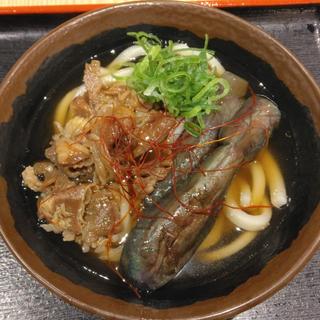 秋茄子肉うどん(小)