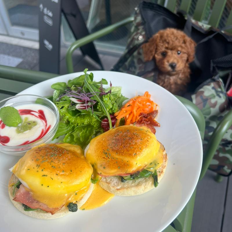 エッグベネディクト(アンプラン カグラザカ （UNPLAN Kagurazaka）)