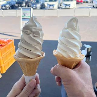 モカソフト 生ソフトクリーム(道の駅 津かわげ)