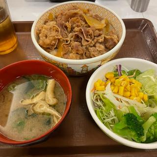 牛丼+サラダセット(すき家 城陽久世店 )