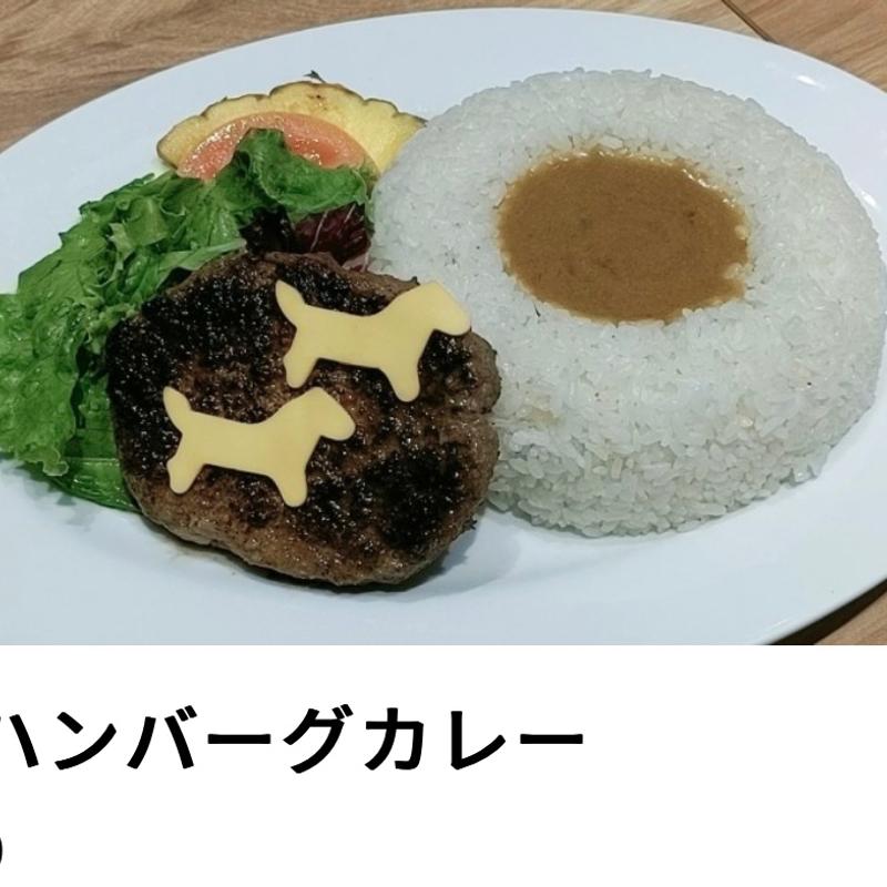 大穴ハンバーグカレー(ステーキ＆ハンバーグ Belmont Cafe 東京競馬場店)
