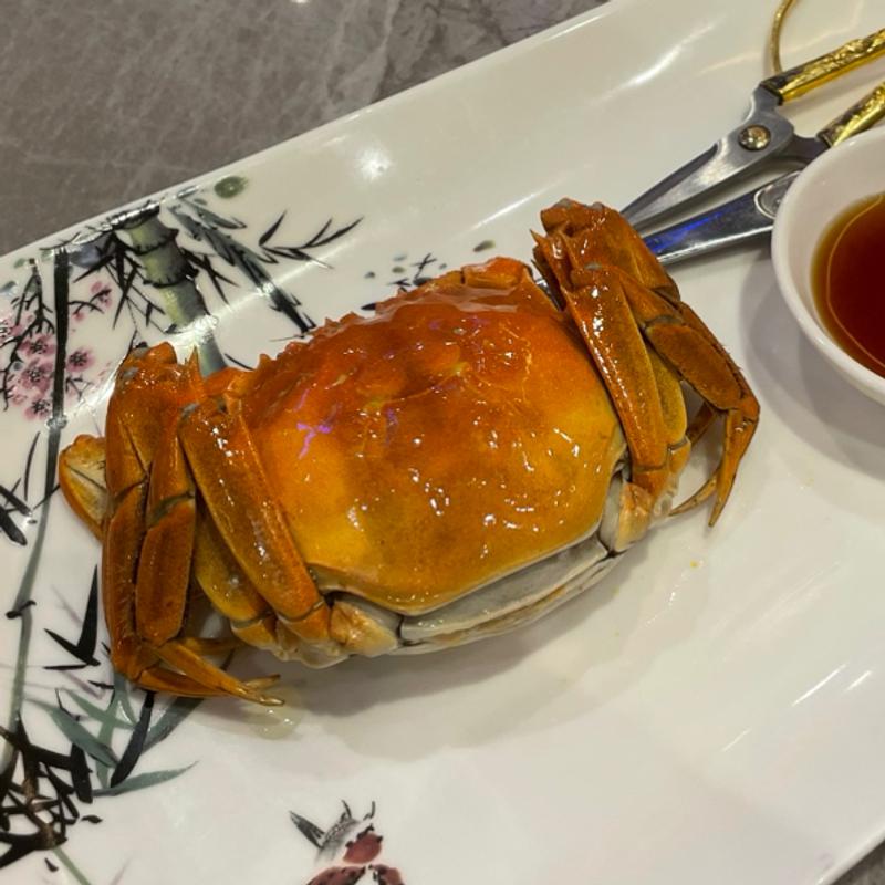 上海蟹 母(Jumbo Seafood Restaurant 珍寶海鮮舫 上野御徒町店)