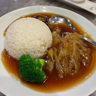 フカヒレのあんかけご飯