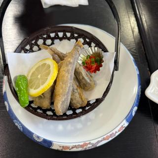 メヒカリフライ(いわき七浜料理 まるかつ )