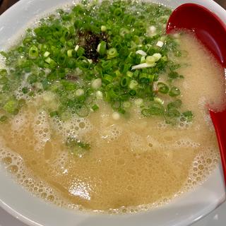 鶏白湯ラーメン(麺屋極み 金ちゃん)