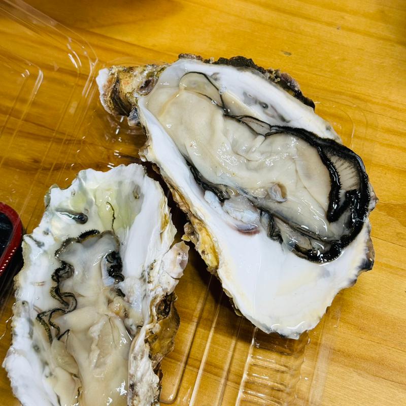 生カキ(塩釜仲卸市場 マイ海鮮丼コーナー )