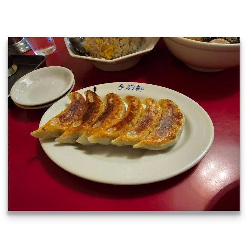 餃子(生駒軒 秋葉原店)