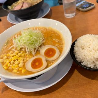 味噌ラーメン(麺屋藤蔵)