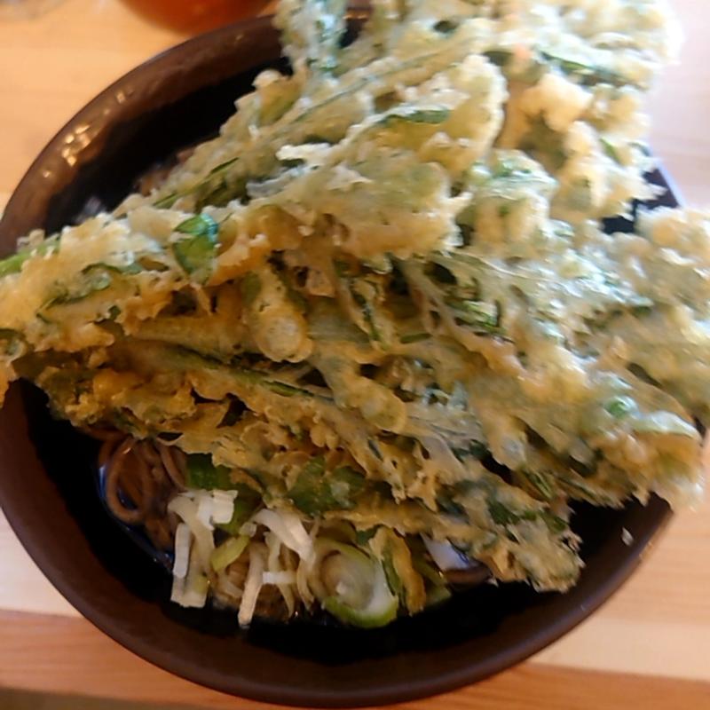 春菊天そば(立喰いそば でん)
