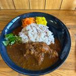 手羽元スパイスカレー(あきなのカレー)