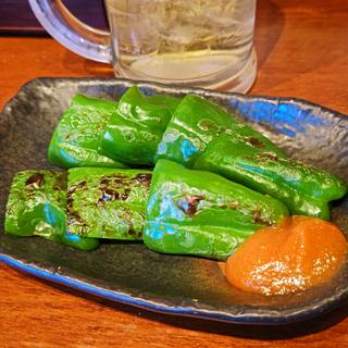 味噌ピーマン(炙り)(もつしげ　宮川橋店)