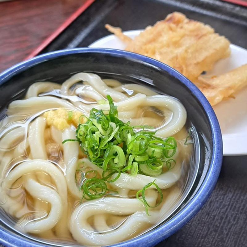 かけうどん ゴボ天(手打ちうどん つよ志)