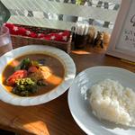 チキン野菜カレー(スープカレー カムイ本店)
