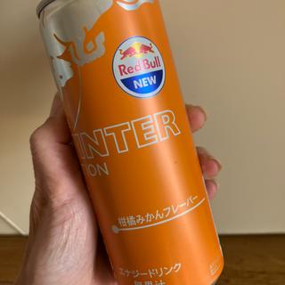 レッドブル柑橘みかん(セブン-イレブン 堺鳳西町1丁店)