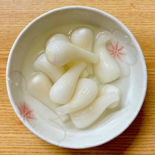 塩らっきょう(丸大ホール)