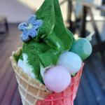 和薫るソフトクリーム 抹茶味