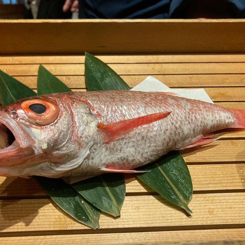 (のどぐろ 専門 銀座 中俣)