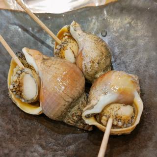 磯つぶ貝塩ゆで(魚と酒はなたれ 野毛五番街店)