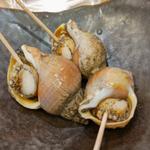 磯つぶ貝塩ゆで(魚と酒はなたれ 野毛五番街店)