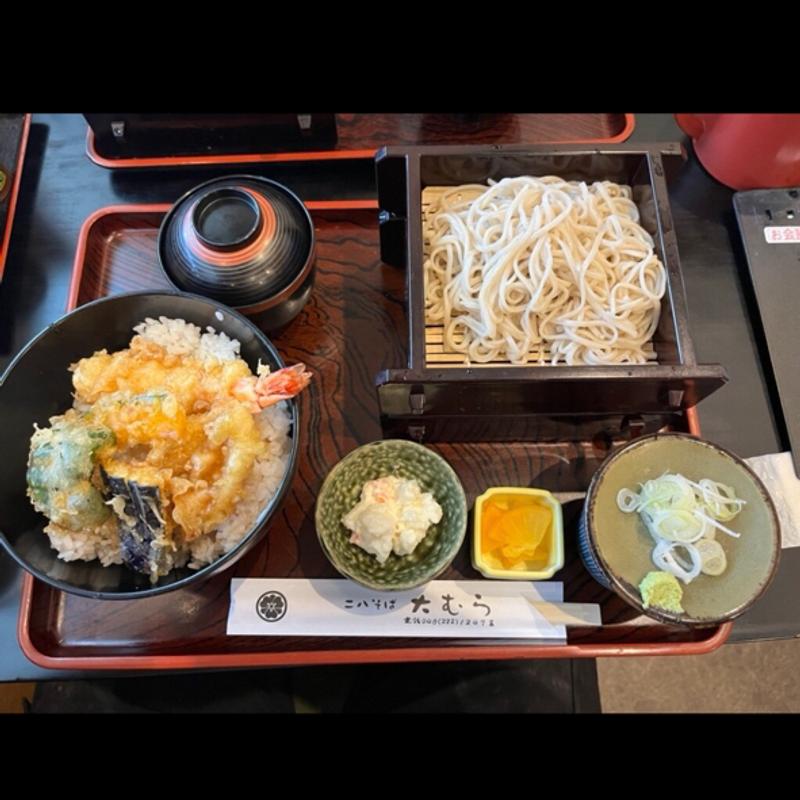 ミックス天丼セット(大むら二八そば)