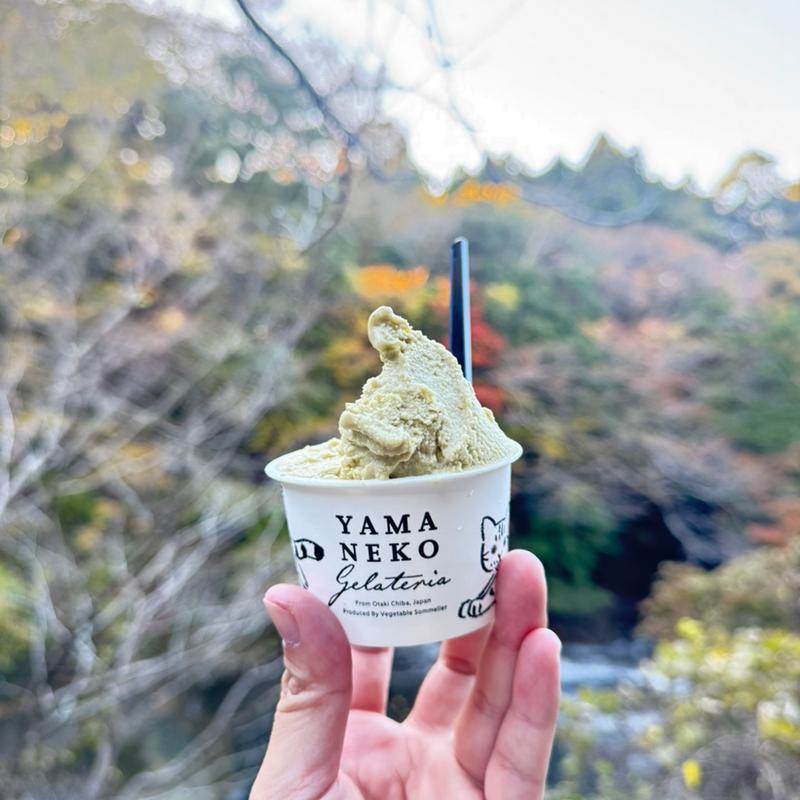 シングル プレミアム(山里のジェラテリア 山猫)