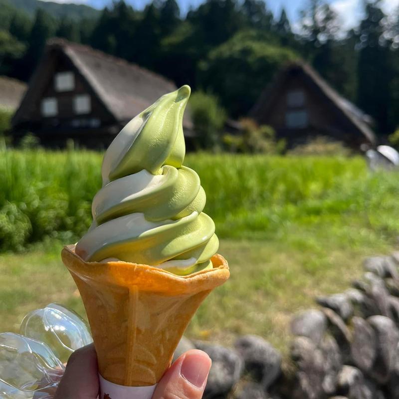 抹茶とプリンのミックス(白川郷ぷりんの家)