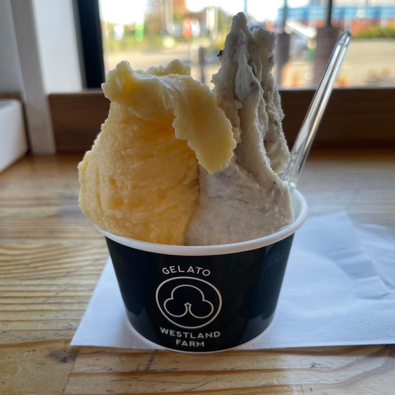 ダブル(清水牧場／WESTLAND FARM)