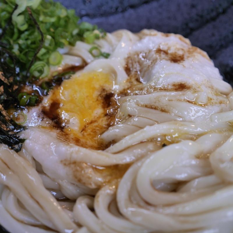 とろろ月見うどん(うどん 色彩 )